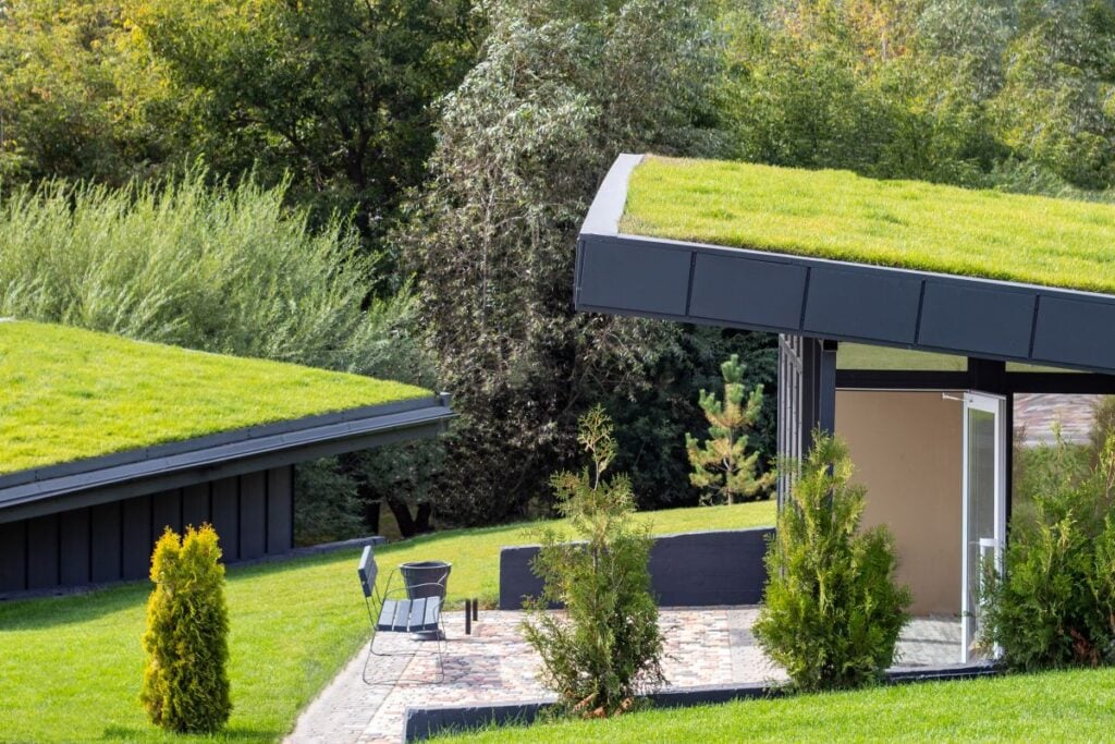 green roof
