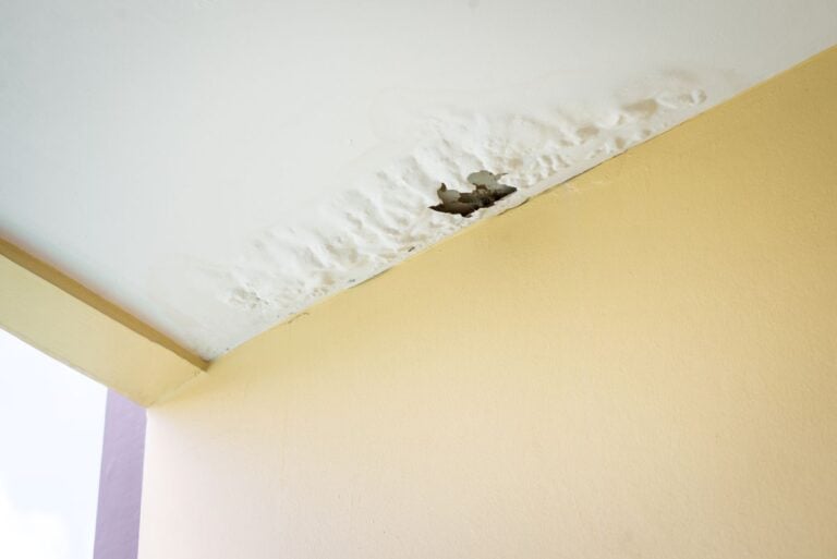 how to find a roof leak yellow wall white ceiling hole and condensation