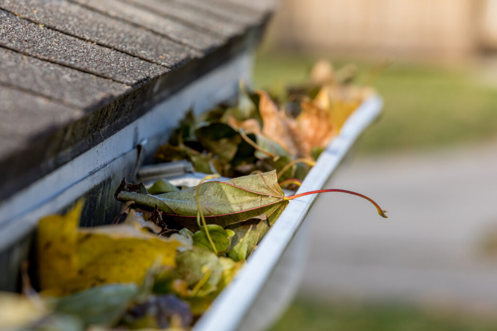 Closeup of house rain gutter clogged with leaves