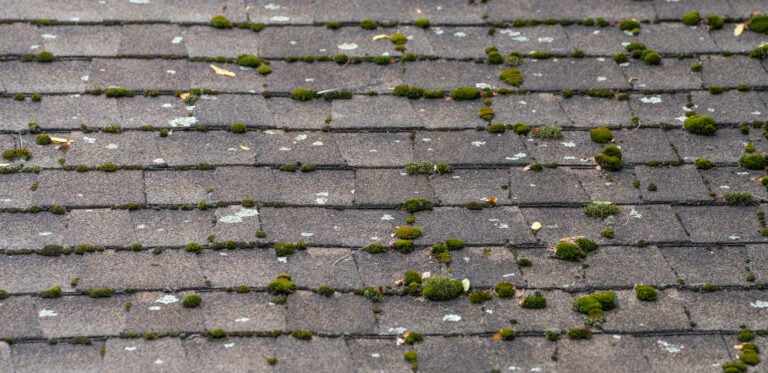 dirty house roof shingle