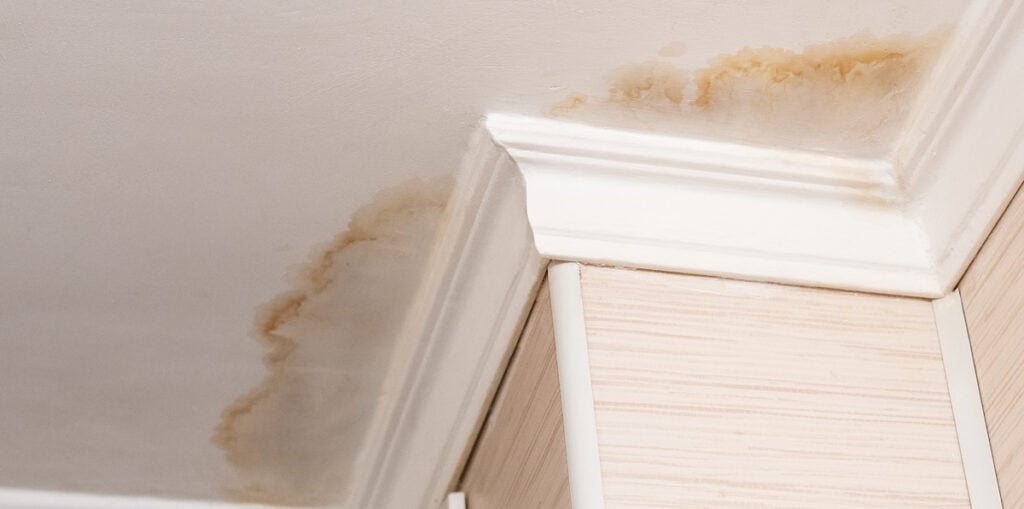 Early Stage Mold on Ceiling From Roof Leak