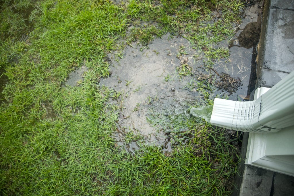gutter downspout water on the ground