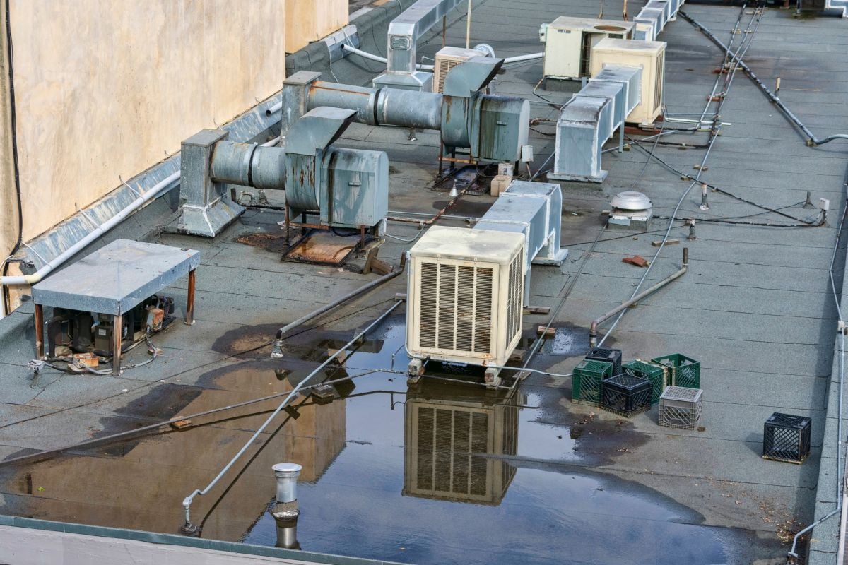 commercial storm damage with water damps