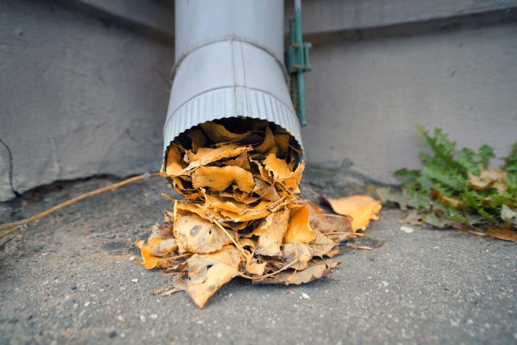 gutter downspout leaves down the drainage system